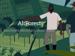 Alt Forest