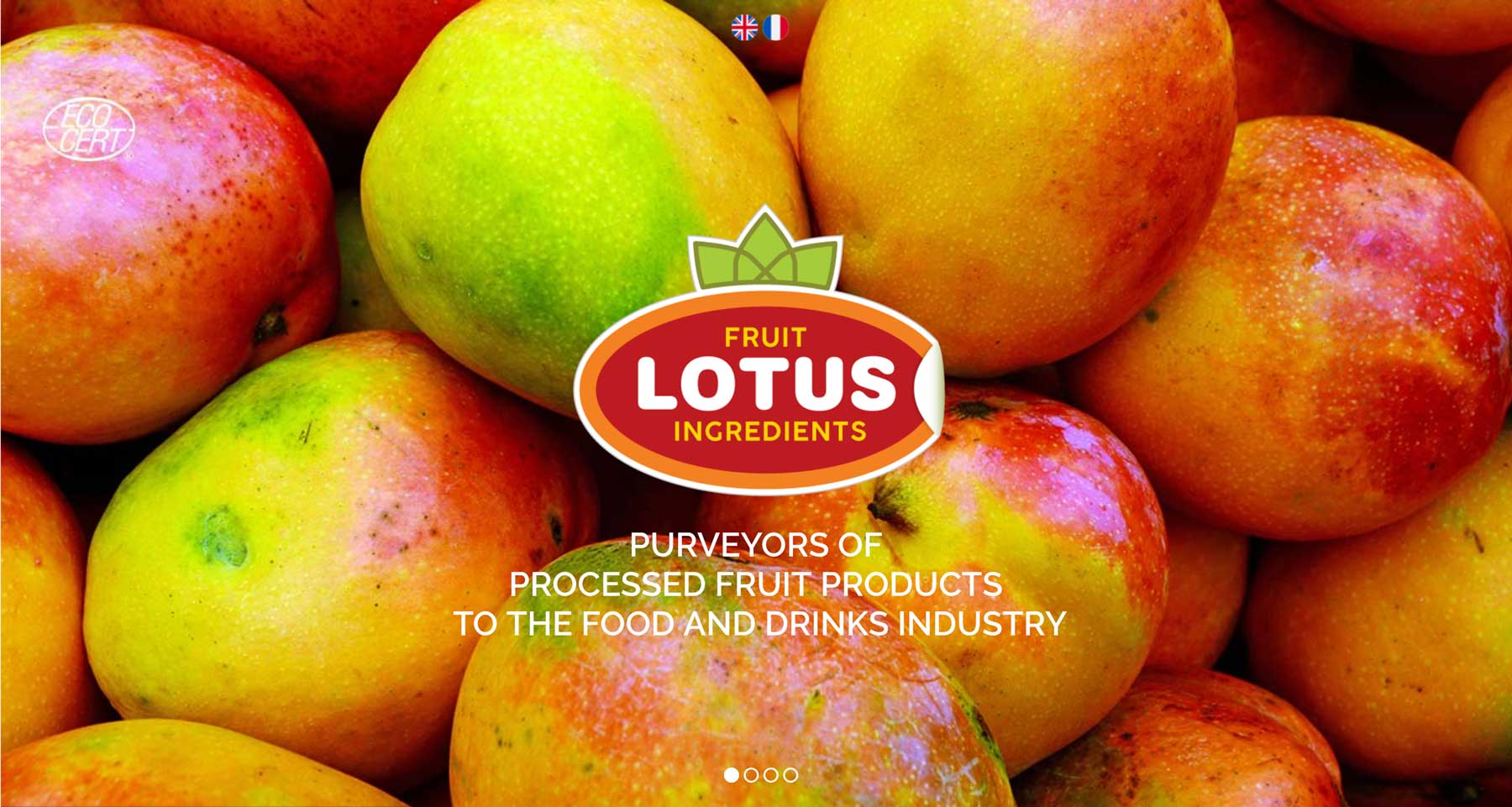 Lotus Fruit Ingredients Splash Page